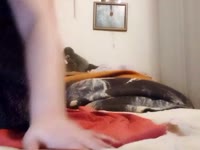 Sono una ragazza molto vogliosa, amo il sesso