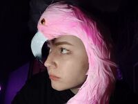 live chat room AlexJackson