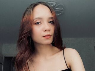 livechat AlisPrices