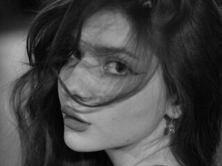 adult web cam VelvetMeow